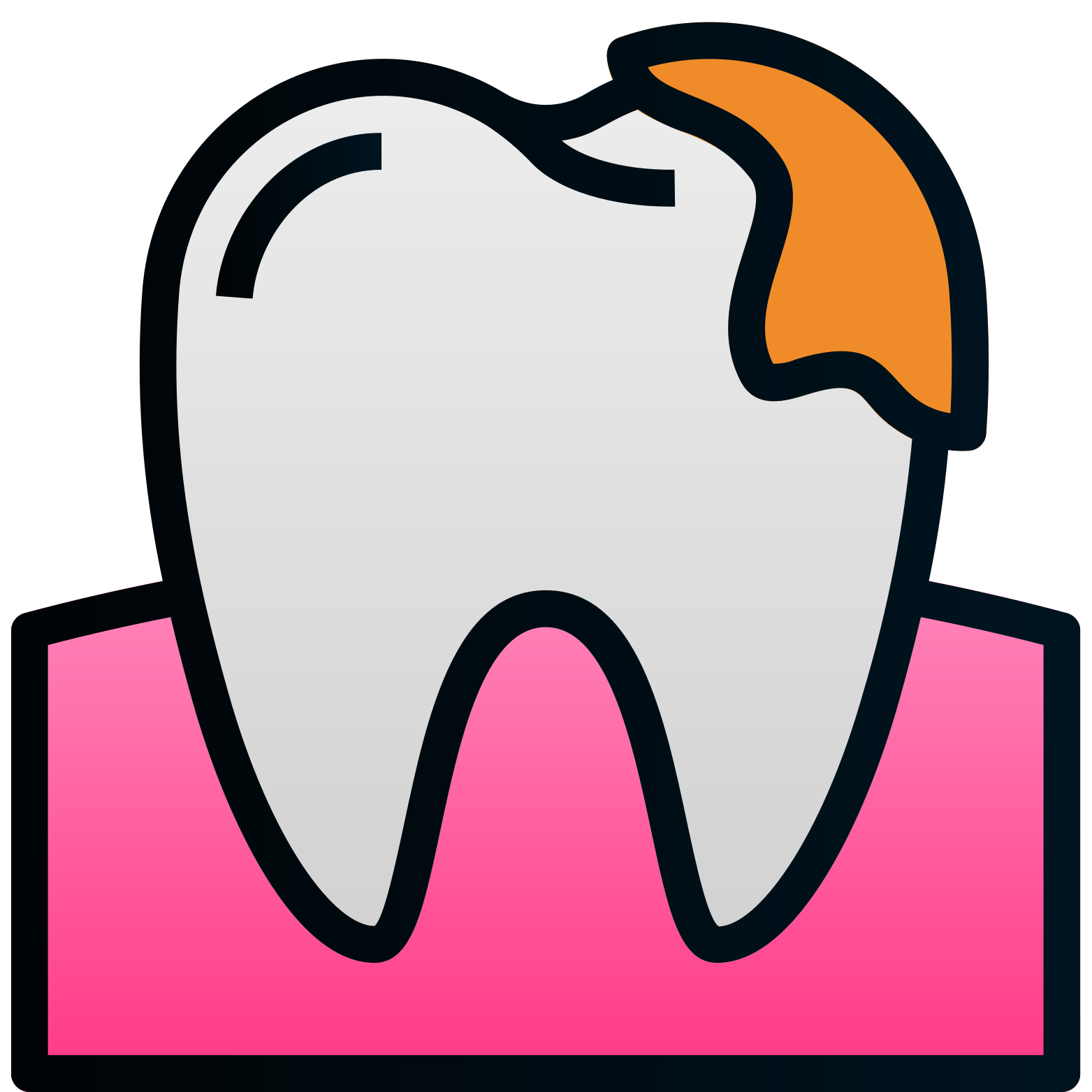 Fillings & Sealants